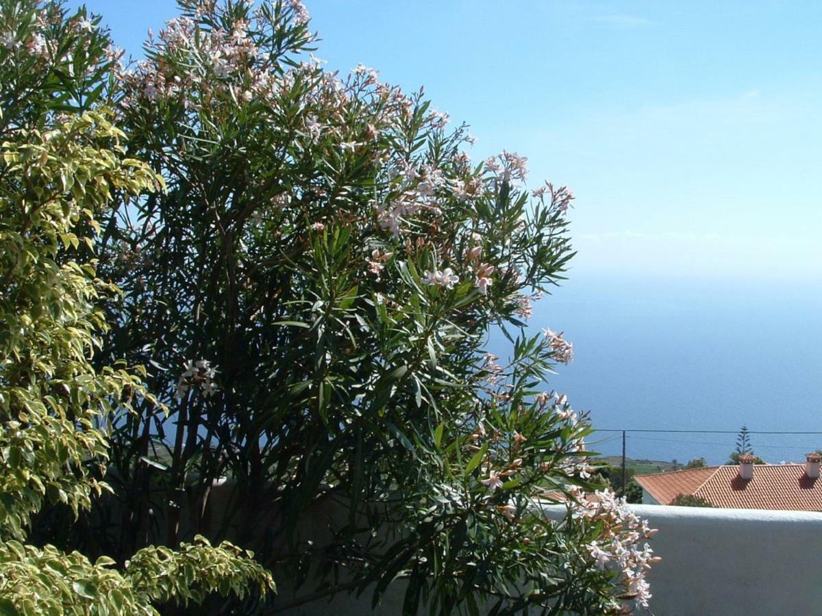 Casa Los Vinedos B Fuencaliente de la Palma Dış mekan fotoğraf