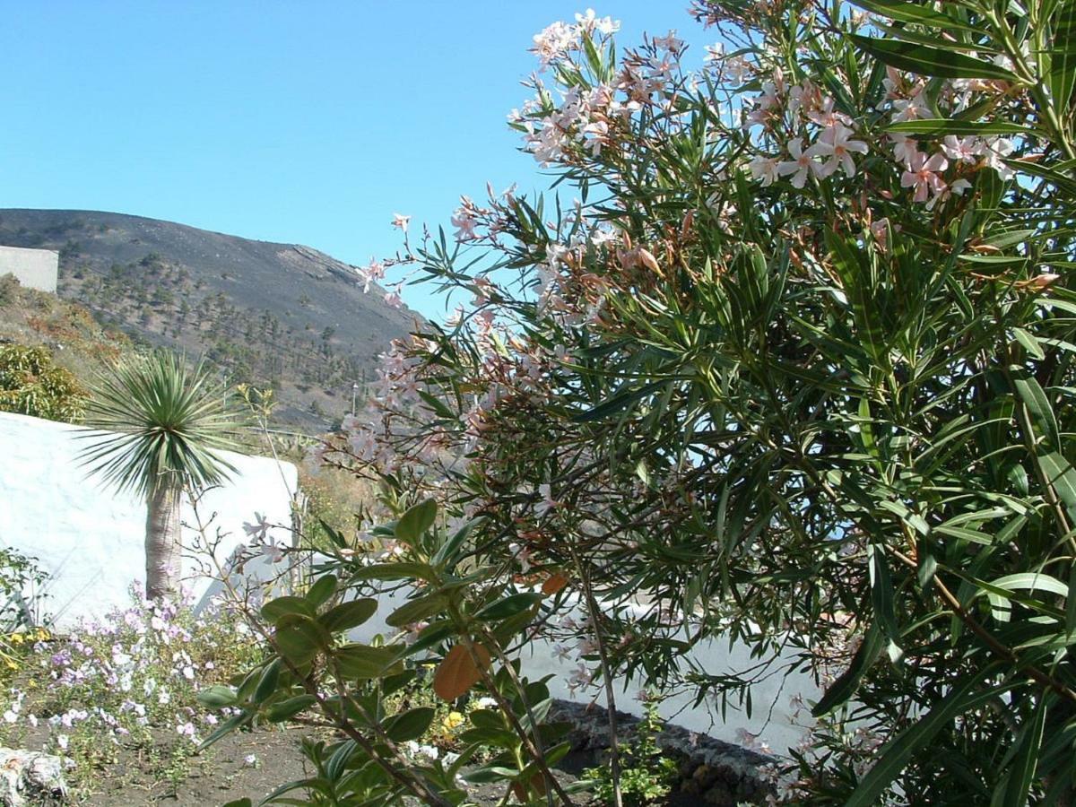 Casa Los Vinedos B Fuencaliente de la Palma Dış mekan fotoğraf